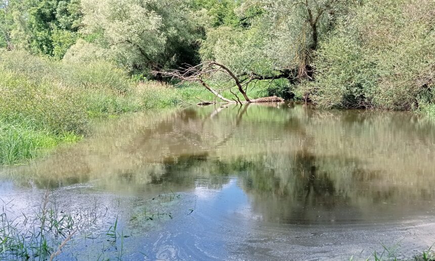 INVENTAIRE ET EXPERTISE DES ANNEXES HYDRAULIQUES DE LA RIVIÈRE CHER