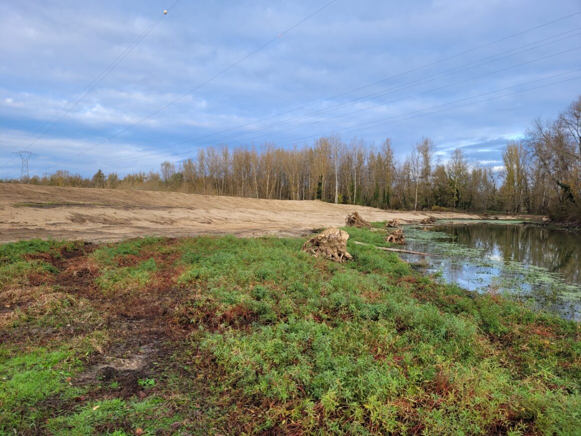 TRAVAUX DE RESTAURATION DE LA BOIRE DE LA VERMILLÈRE SUR L’ALLIER À MOULINS