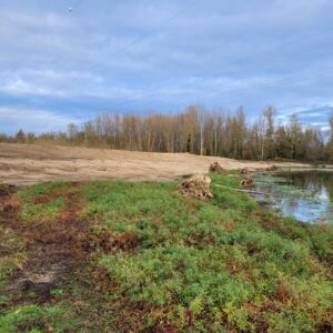 TRAVAUX DE RESTAURATION DE LA BOIRE DE LA VERMILLÈRE SUR L’ALLIER À MOULINS