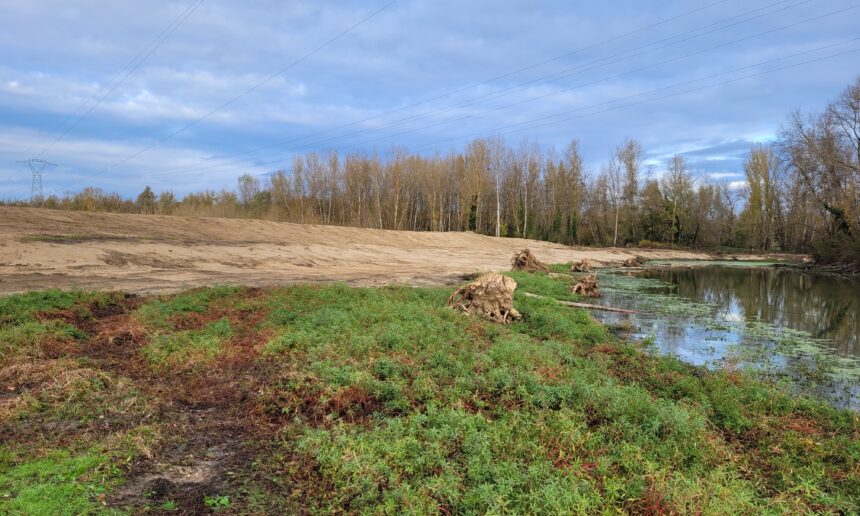 TRAVAUX DE RESTAURATION DE LA BOIRE DE LA VERMILLÈRE SUR L’ALLIER À MOULINS