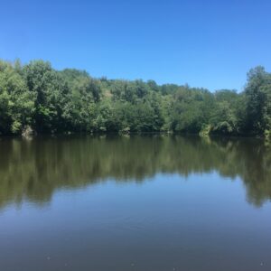 Réglementation pêche truite arc-en-ciel – Sablières des Bignards