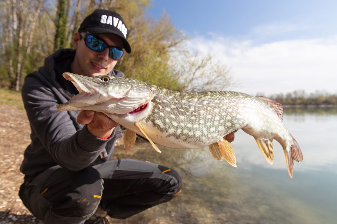 OUVERTURE DE LA PECHE DU BROCHET