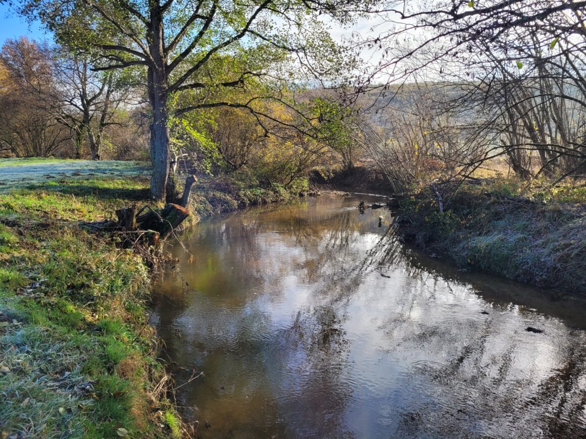 RESTAURATION DE LA RIPISYLVE DU VENANT A VOUSSAC