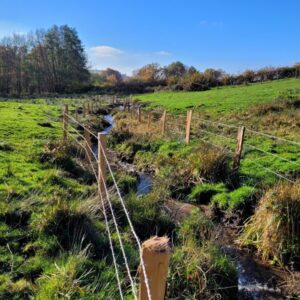 RESTAURATION DE LA TÊTE DE BASSIN VERSANT DU VAREILLE (2023)