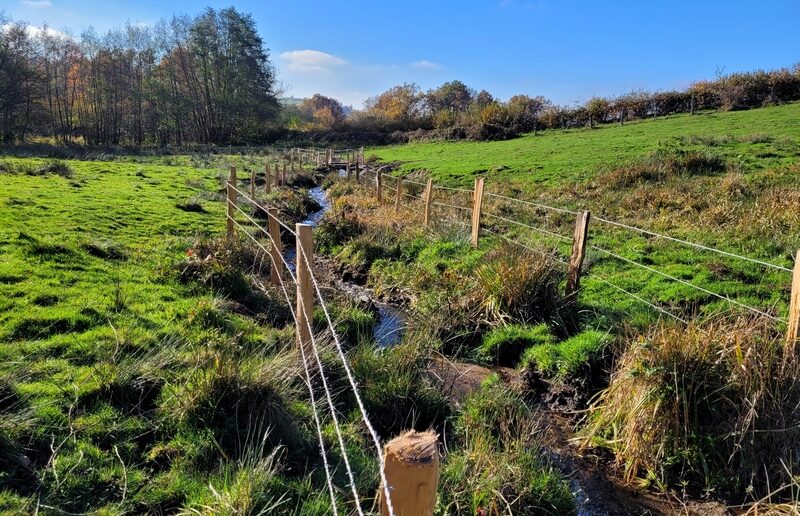 RESTAURATION DE LA TÊTE DE BASSIN VERSANT DU VAREILLE (2023)