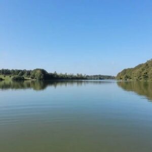 Plan d’eau de Vieure – pêche interdite du samedi 06 au lundi 08 juillet 2024