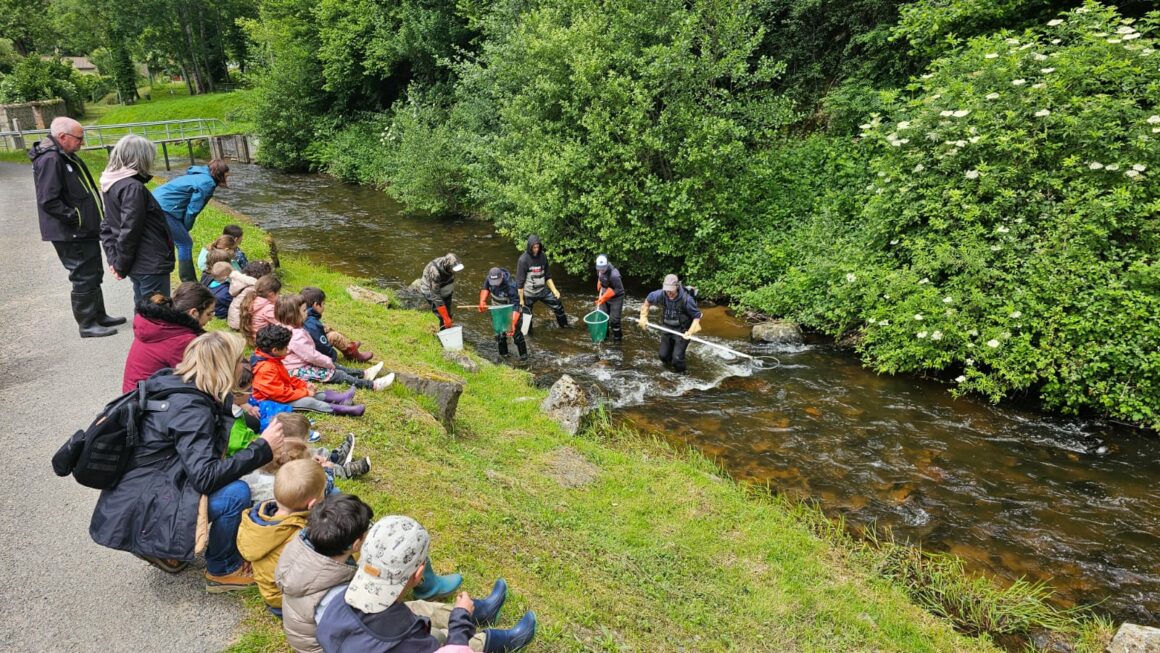 Les enfants de l’école de Ferrières/Sichon à la découverte des poissons de la rivière