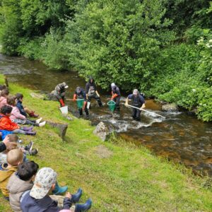 Les enfants de l’école de Ferrières/Sichon à la découverte des poissons de la rivière