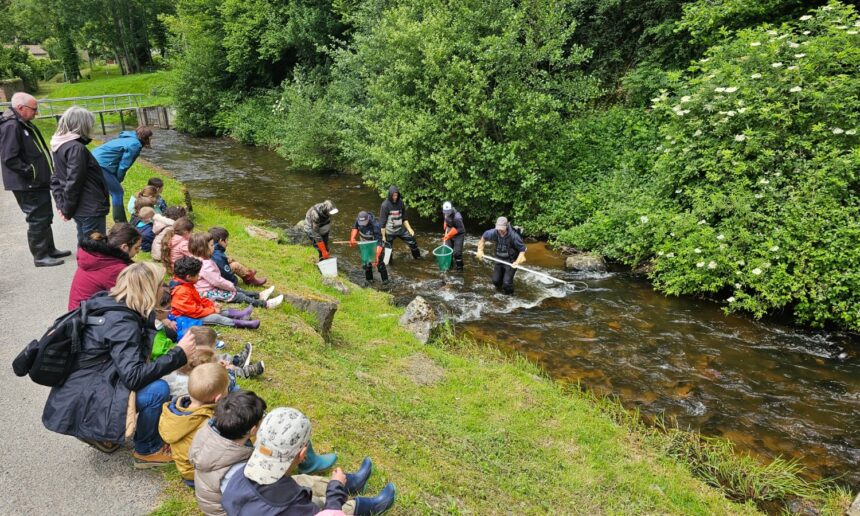Les enfants de l’école de Ferrières/Sichon à la découverte des poissons de la rivière