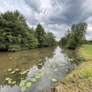 Pollution sur la rivière la Bieudre sur les communes de St Plaisir, Franchesse, Pouzy-Mésangy et le Veurdre