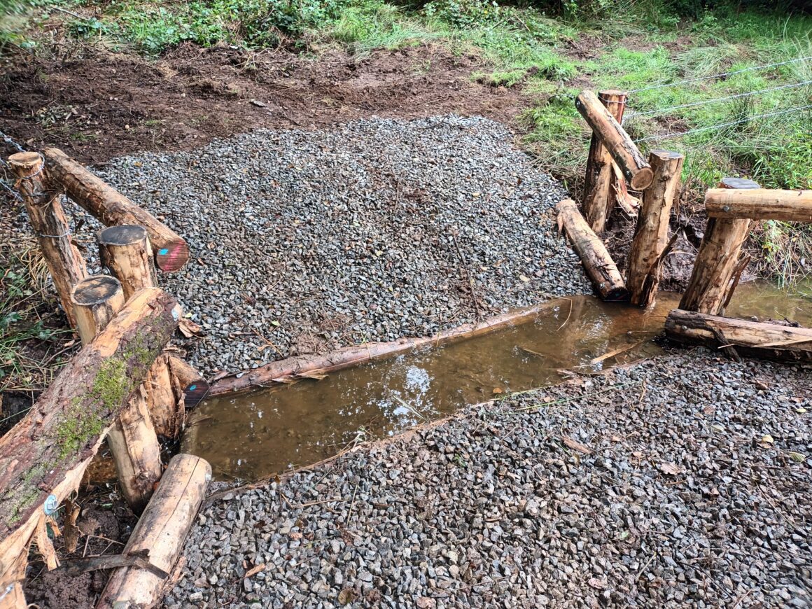 RESTAURATION DE LA TÊTE DE BASSIN VERSANT DU RUISSEAU DES MITS (2024)