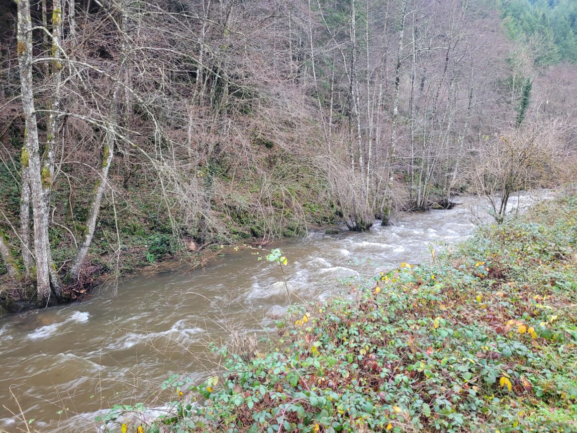 ENTRETIEN DE LA RIPISYLVE SUR LA BESBRE A CHATEL-MONTAGNE