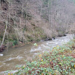 ENTRETIEN DE LA RIPISYLVE SUR LA BESBRE A CHATEL-MONTAGNE