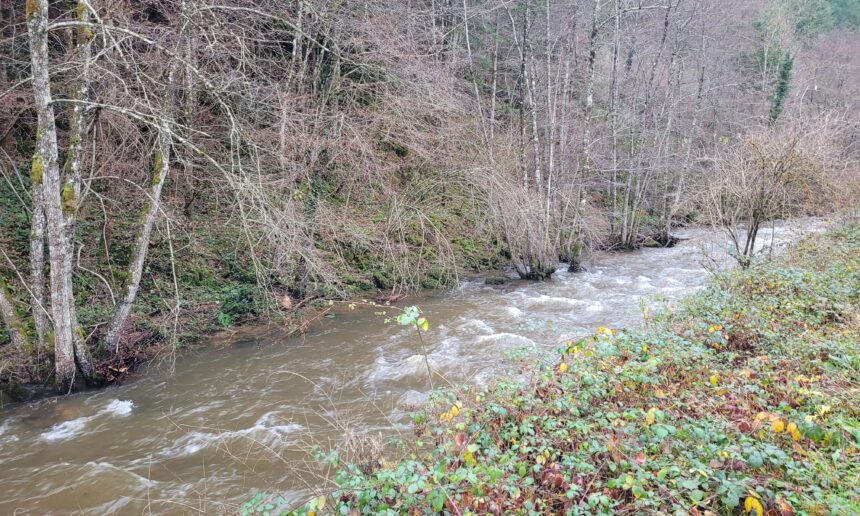 ENTRETIEN DE LA RIPISYLVE SUR LA BESBRE A CHATEL-MONTAGNE