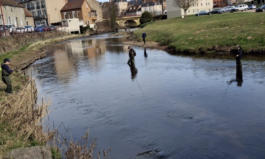 Belle ouverture de la pêche à la truite sur la Besbre