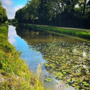 Pêche interdite sur le canal de Berry à VALLON en SULLY les 28 et 29 juin 2025