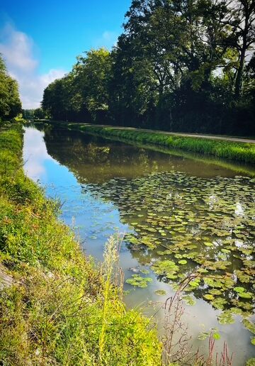 Pêche interdite sur le canal de Berry à VALLON en SULLY les 28 et 29 juin 2025