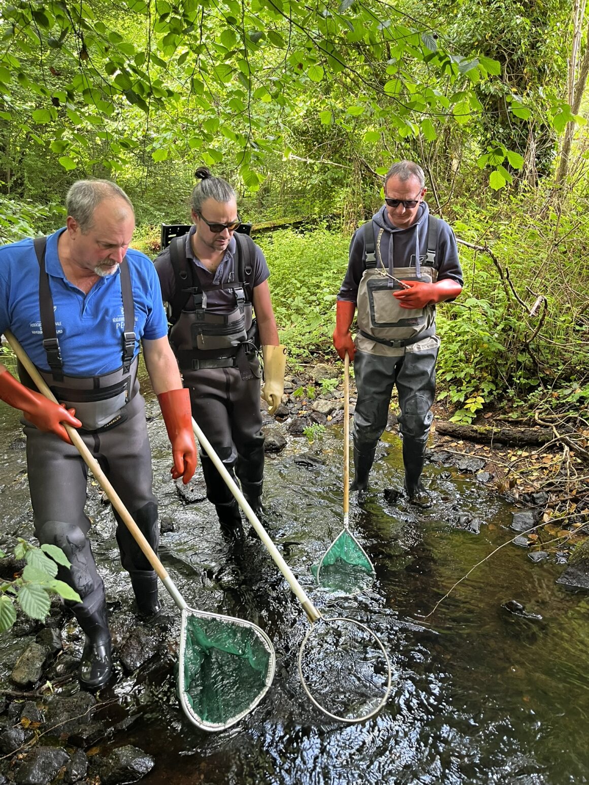 DEMARRAGE DE LA SAISON 2025 DES INVENTAIRES PISCICOLES DES COURS D’EAU DE L’ALLIER