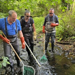 DEMARRAGE DE LA SAISON 2025 DES INVENTAIRES PISCICOLES DES COURS D’EAU DE L’ALLIER
