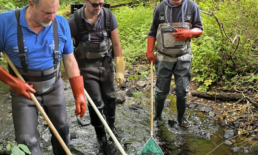 DEMARRAGE DE LA SAISON 2025 DES INVENTAIRES PISCICOLES DES COURS D’EAU DE L’ALLIER