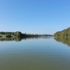 Plan d’eau de Vieure – pêche interdite du lundi 26 août au lundi 01 septembre 2025