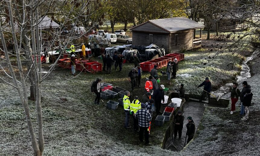 Vidange du plan d’eau de Bellenaves : une opération réussie Vidange du plan d’eau de Bellenaves : une opération réussie