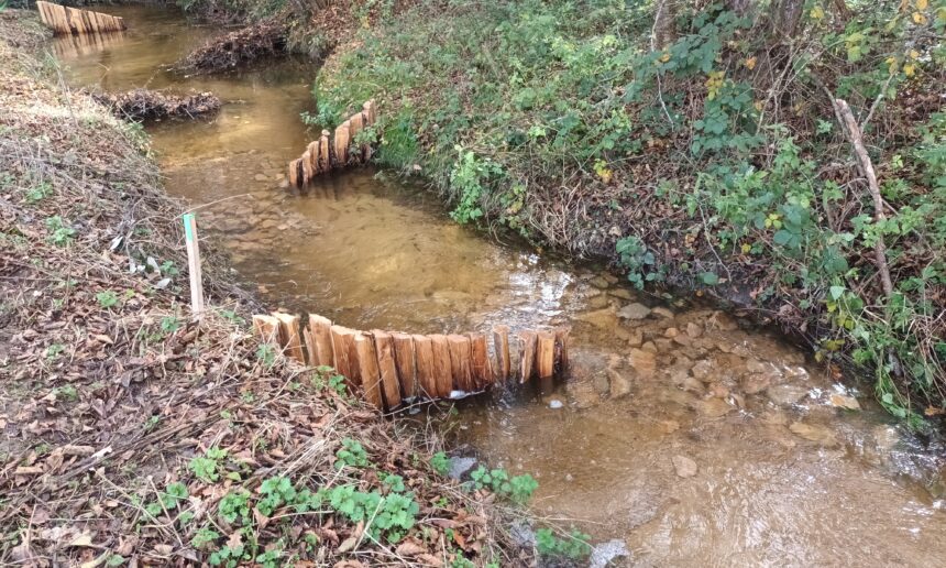 RESTAURATION HYDROMORPHOLOGIQUE DU LAMARON À NÉRIS-LES-BAINS ET CHAMBLET RESTAURATION HYDROMORPHOLOGIQUE DU LAMARON À NÉRIS-LES-BAINS ET CHAMBLET