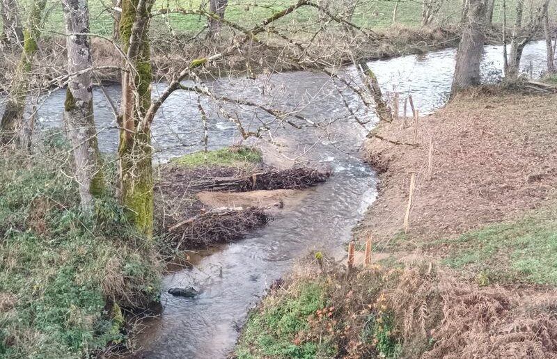 AMÉLIORATION DE LA CIRCULATION PISCICOLE  SUR LE MANSAN