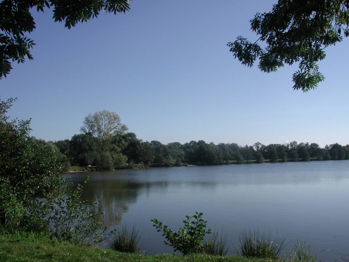 AAPPMA de SAINT POURCAIN/SIOULE – déversements de truites au plan d&rsquo;eau de Gouzolles