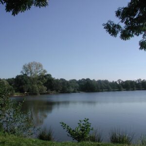 AAPPMA de SAINT POURCAIN/SIOULE – déversements de truites au plan d’eau de Gouzolles AAPPMA de SAINT POURCAIN/SIOULE – déversements de truites au plan d’eau de Gouzolles