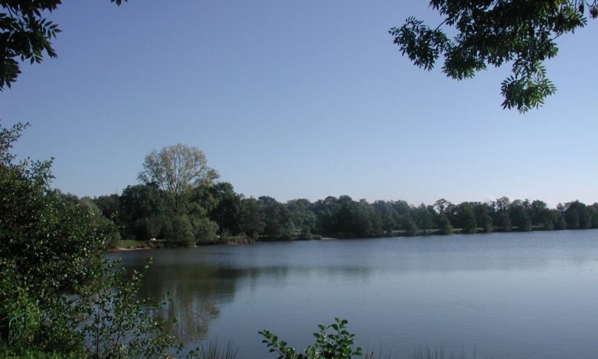 AAPPMA de SAINT POURCAIN/SIOULE – déversements de truites au plan d’eau de Gouzolles AAPPMA de SAINT POURCAIN/SIOULE – déversements de truites au plan d’eau de Gouzolles