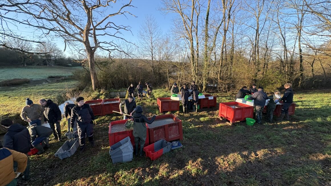 Vidange de l’étang du Pavillon au Domaine des Sallards au siège de la Fédération des Chasseurs