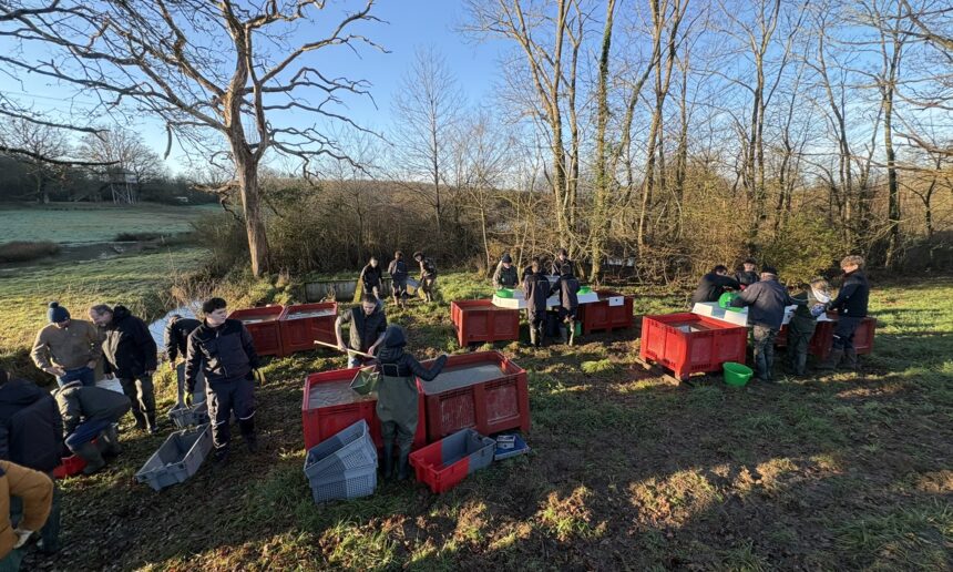 Vidange de l’étang du Pavillon au Domaine des Sallards au siège de la Fédération des Chasseurs