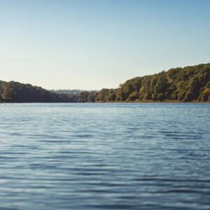 AAPPMA Cérilly/étang de Pirot – Assemblée Générale le vendredi 27 février 2026 AAPPMA Cérilly/étang de Pirot – Assemblée Générale le vendredi 27 février 2026