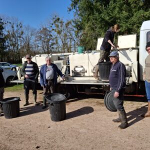 Déversement de truites sur la rivière Besbre en 1ère catégorie piscicole