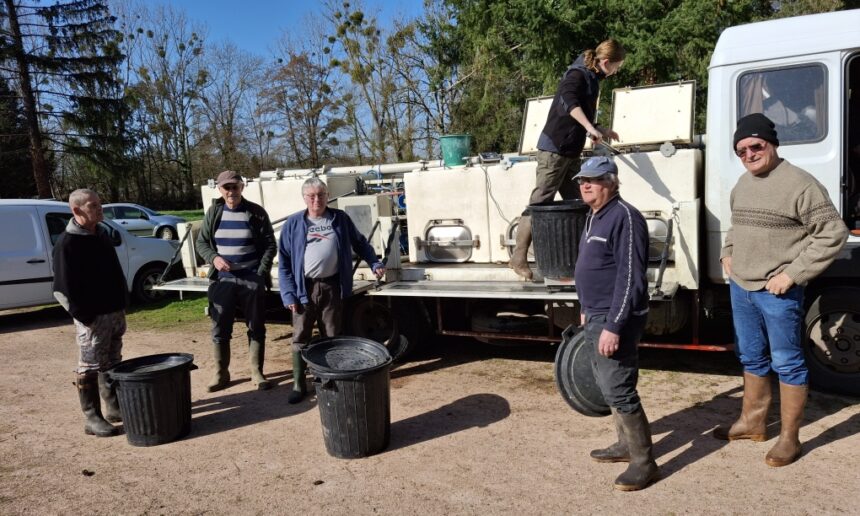 Déversement de truites sur la rivière Besbre en 1ère catégorie piscicole
