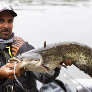 Fédé Fishing Days – Soirée Silure - 10 juillet 2026