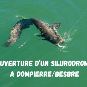 NOUVEAU PARCOURS : OUVERTURE D’UN SILURODROME A DOMPIERRE-SUR-BESBRE NOUVEAU PARCOURS : OUVERTURE D’UN SILURODROME A DOMPIERRE-SUR-BESBRE