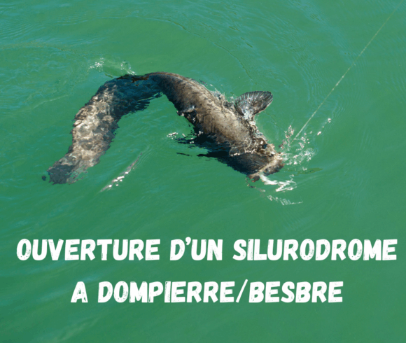 NOUVEAU PARCOURS : OUVERTURE D’UN SILURODROME A DOMPIERRE-SUR-BESBRE