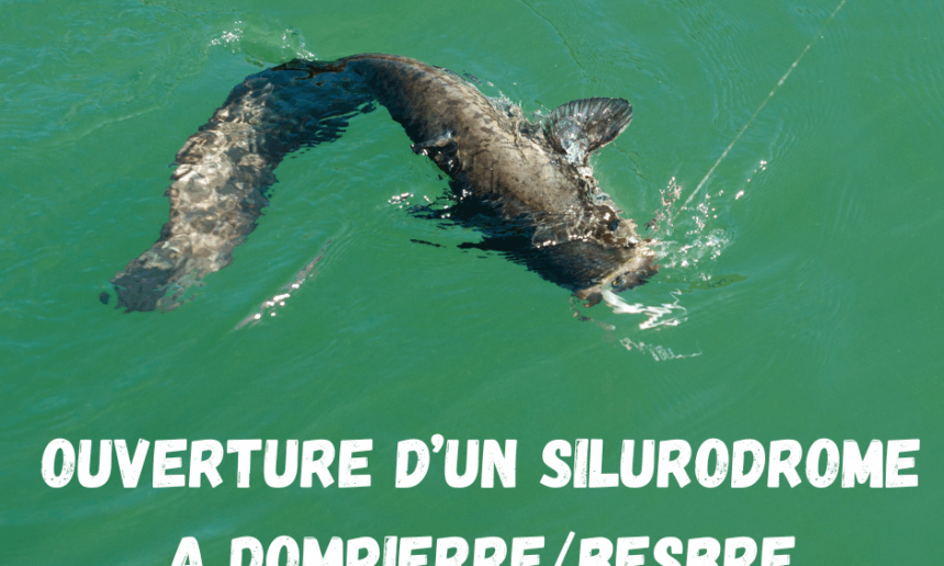 NOUVEAU PARCOURS : OUVERTURE D’UN SILURODROME A DOMPIERRE-SUR-BESBRE