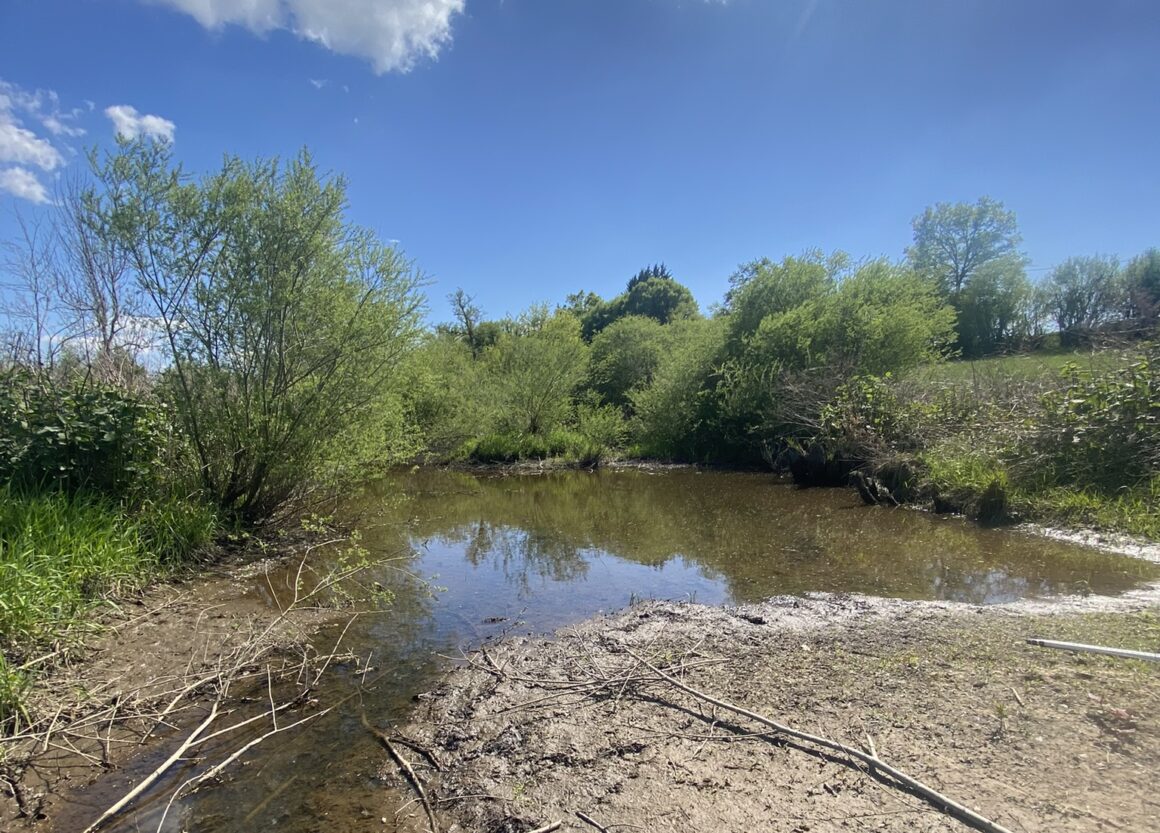 Inventaire, expertise et propositions de gestion des annexes hydrauliques de la Besbre aval