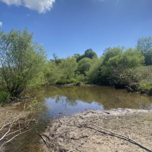 Inventaire, expertise et propositions de gestion des annexes hydrauliques de la Besbre aval