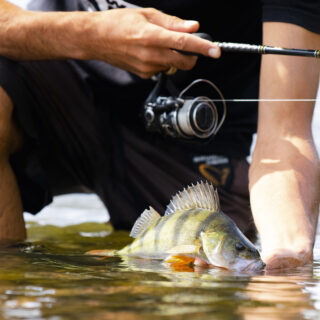 Pêche des Carnassiers aux leurres au Lac d'Allier à Vichy le 17 juillet - 10h