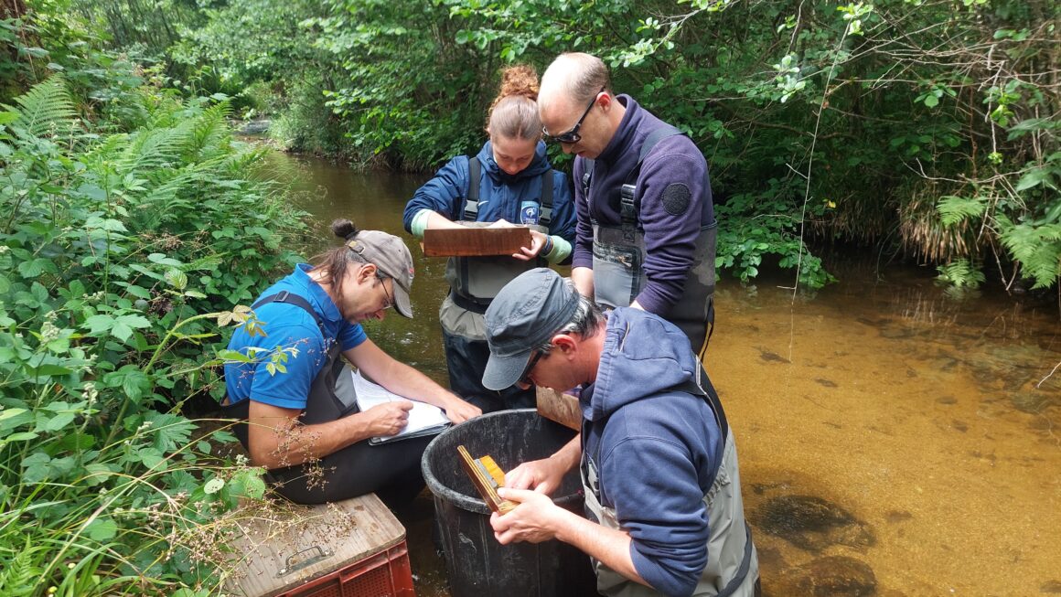 Lancement de la saison 2026 des inventaires piscicoles dans l&rsquo;Allier