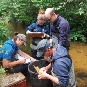 Lancement de la saison 2026 des inventaires piscicoles dans l’Allier Lancement de la saison 2026 des inventaires piscicoles dans l’Allier