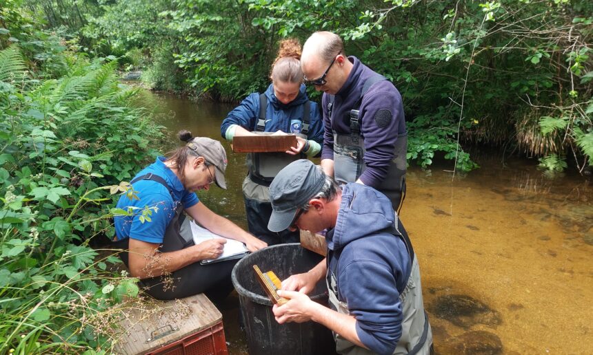 Lancement de la saison 2026 des inventaires piscicoles dans l’Allier Lancement de la saison 2026 des inventaires piscicoles dans l’Allier