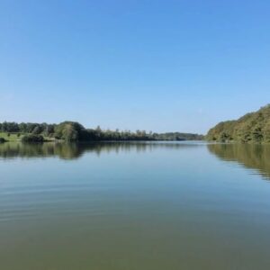 Plan d’eau de Vieure – pêche interdite du vendredi 17 juillet au lundi 20 juillet 2026 Plan d’eau de Vieure – pêche interdite du vendredi 17 juillet au lundi 20 juillet 2026
