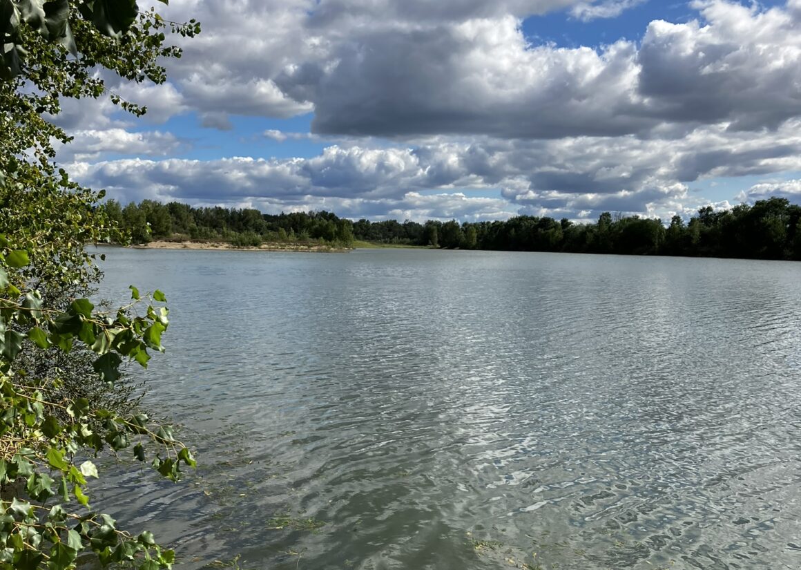La Fédération de pêche de l’Allier et l’AAPPMA de Moulins acquièrent le plan d’eau des « Champs de l’Île » à Neuvy. La Fédération de pêche de l’Allier et l’AAPPMA de Moulins acquièrent le plan d’eau des « Champs de l’Île » à Neuvy.