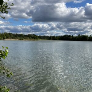 La Fédération de pêche de l’Allier et l’AAPPMA de Moulins acquièrent le plan d’eau des « Champs de l’Île » à Neuvy. La Fédération de pêche de l’Allier et l’AAPPMA de Moulins acquièrent le plan d’eau des « Champs de l’Île » à Neuvy.