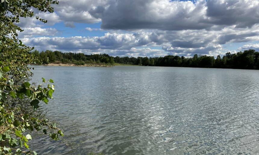 La Fédération de pêche de l’Allier et l’AAPPMA de Moulins acquièrent le plan d’eau des « Champs de l’Île » à Neuvy.